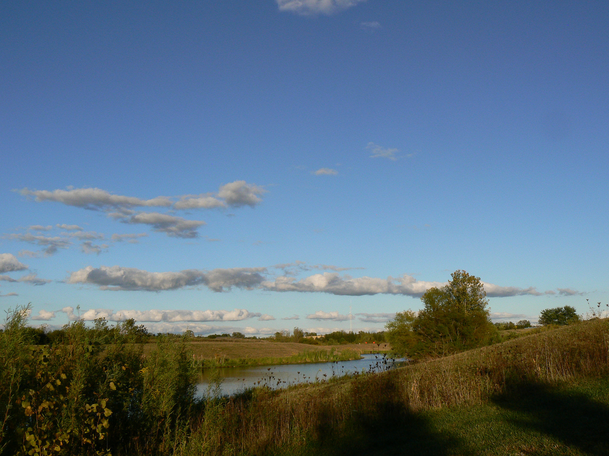 image05